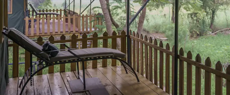 Wellness Escapes in the Wild