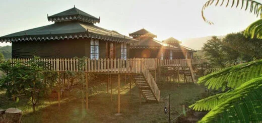 Reasons why you should stay at Maa ashapura farms