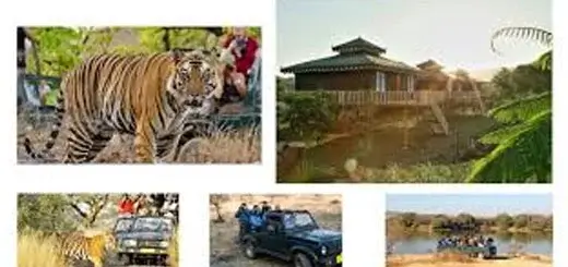 Ranthambore Tour Package