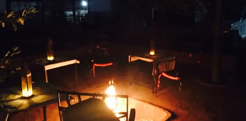 What to Expect on a Ranthambore Safari: A First-Timer’s Experience