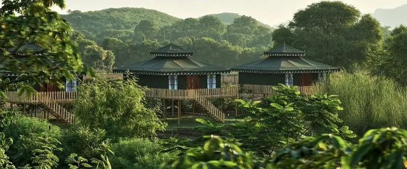 Best Family-Friendly Resorts in Ranthambore