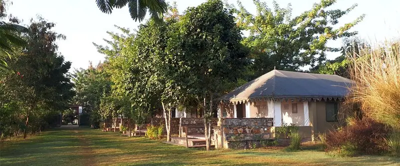 Best Resort Near Ranthambore National Park for Safari-Focused Travelers