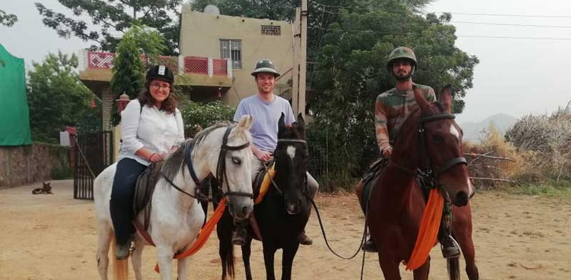 Maa Ashapura Farm: The Best Resort in Ranthambore for Families and Couples