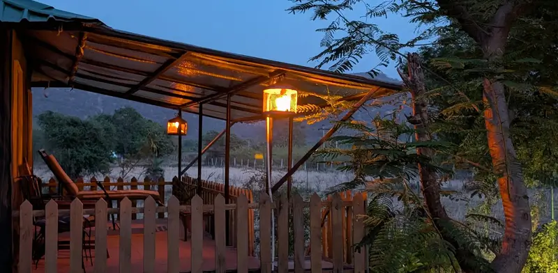 Why Staying Near Ranthambore National Park Makes All the Difference