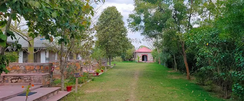 Eco-Tourism in Ranthambore