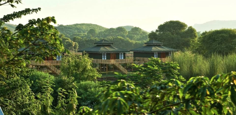 Experience Glamping at Maa Ashapura Farm