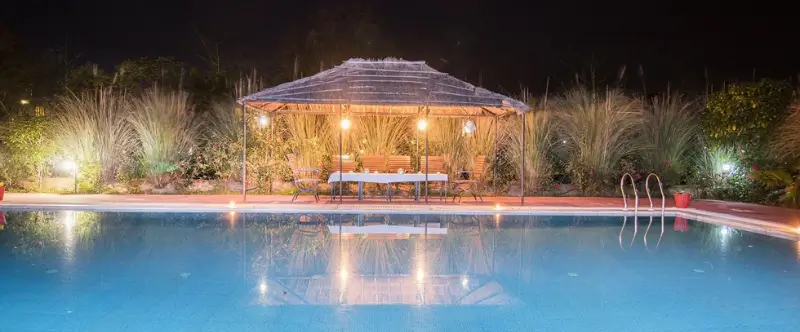 Ranthambore Honeymoon Guide