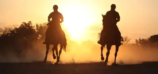 Horse Riding Holidays Ranthambore