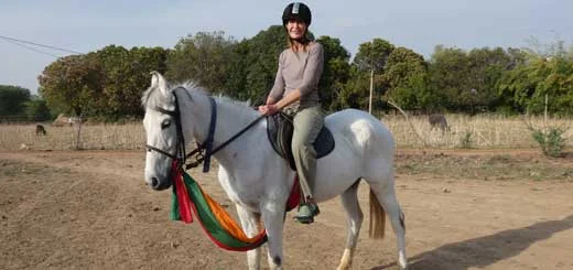Tips To Plan Horse Riding Holidays In India