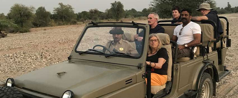 Ranthambore Gypsy vs Canter