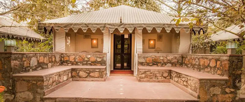 Hyderabad to Ranthambore Safari Trip
