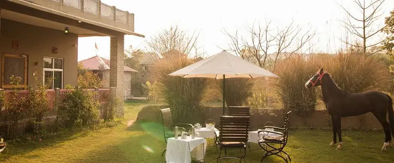 Life at a Farm Stay Near Ranthambore: Beyond City Comforts