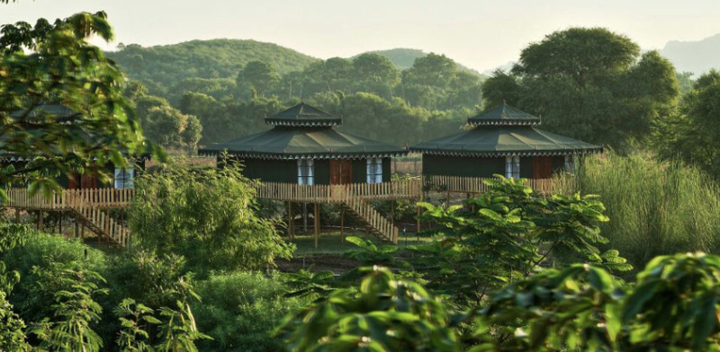 Experience Luxury Tents at Maa Ashapura Farm: Your Ultimate Ranthambore Getaway