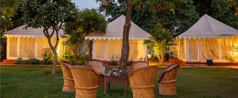 Luxury vs Budget Stays in Ranthambore – Which One Should You Choose?