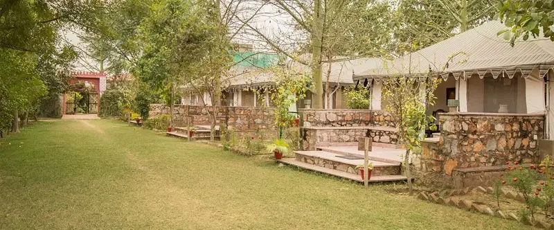 Luxury Without Noise: The Rise of Silent Resorts in Ranthambore