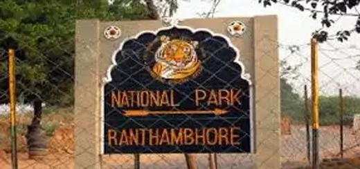 5 Major Reasons to visit Ranthambore National Park