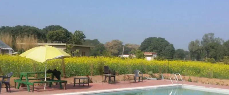 How Boutique Stays Are Transforming Rajasthan’s Hospitality Experience