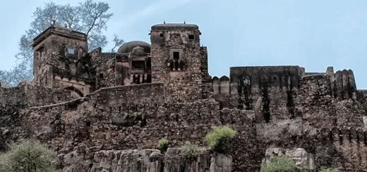 Things to do in Ranthambore