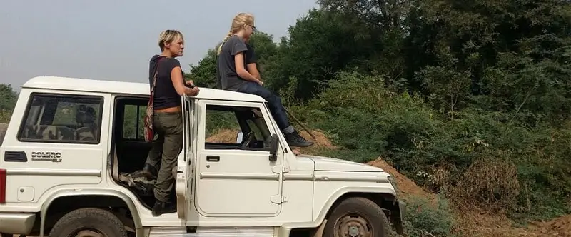 Ranthambore Canter vs Jeep Safari