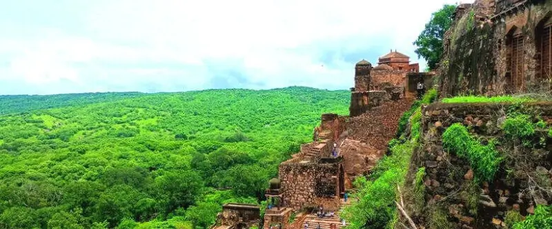 Ranthambore Monsoon Travel Guide with Safari Availability and Stay Experience