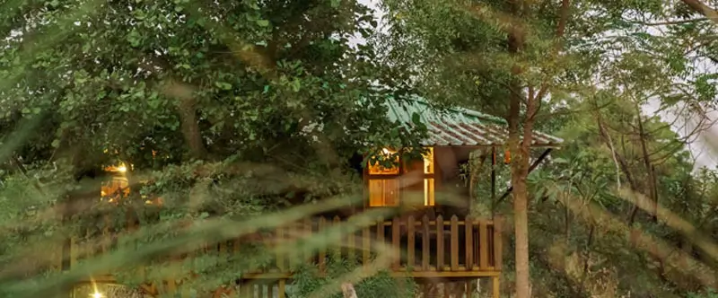 Best Places to Stay in Ranthambore Near Zone 1–6