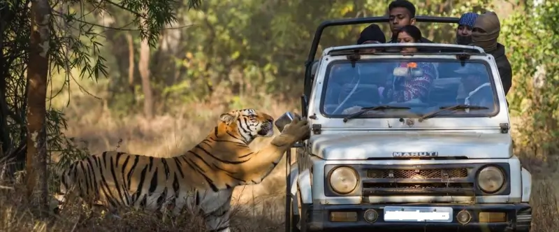 Ranthambore All Inclusive Package vs À La Carte Stay Cost Comparison Guide