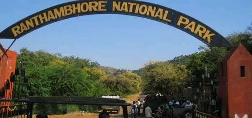 Ranthambore Travel Guide