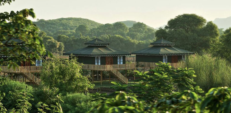 Ranthambore Safari and Stay: Tour Guide Book