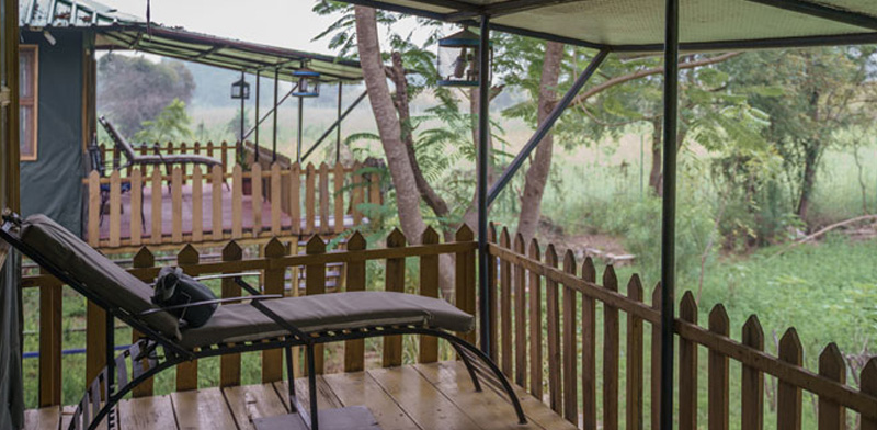 Ranthambore Activities to Enjoy During Your Stay at Maa Ashapura Farm