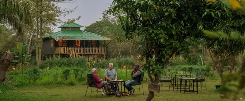 The Perfect Weekend Detox