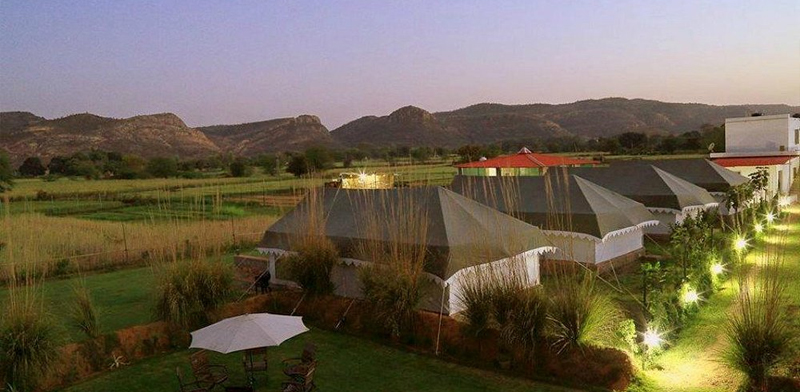 Exclusive Deals at Maa Ashapura Farm – Best Offers for a Ranthambore Jungle Stay