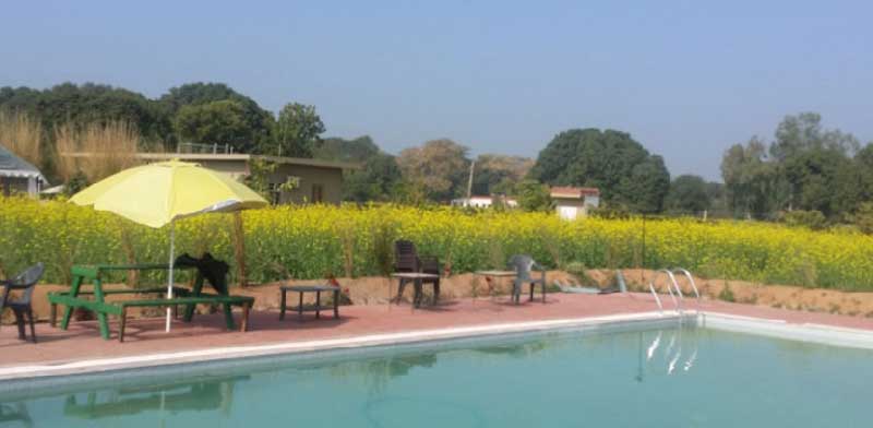 The Best Places And Hotels To Stay In Ranthambore
