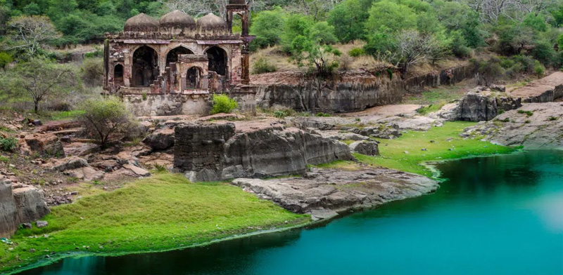 Surwal Lake in Ranthambore: A Natural Oasis of Tranquility