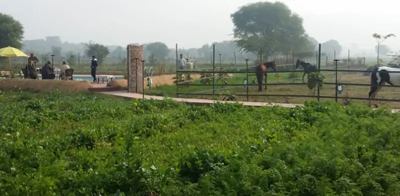 Sustainable Tourism in Ranthambore: How Maa Ashapura Farm is Leading the Way