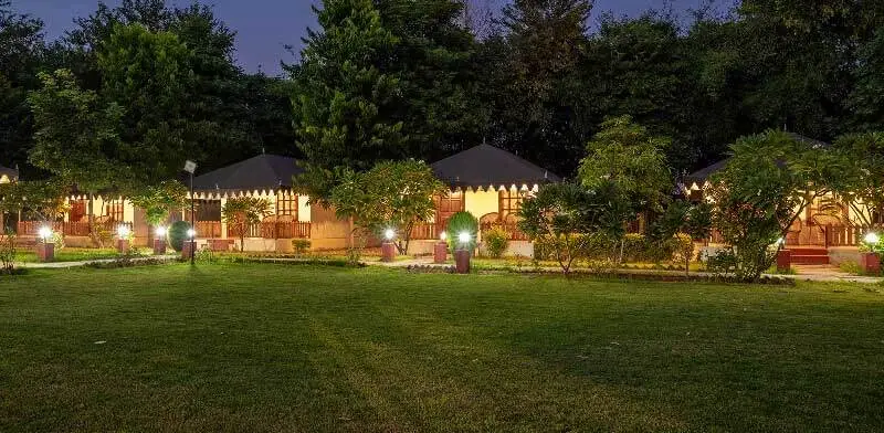 Tent Accommodations in Ranthambore