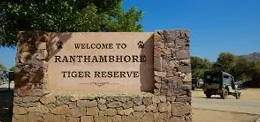 Ranthambore Tiger Reserve