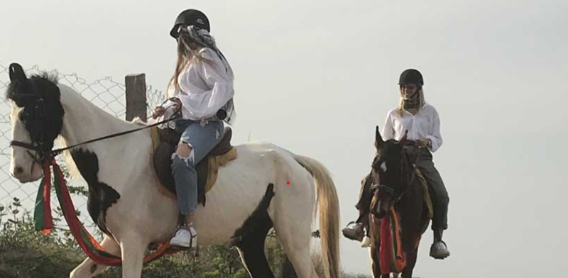 Things to Do in Ranthambore