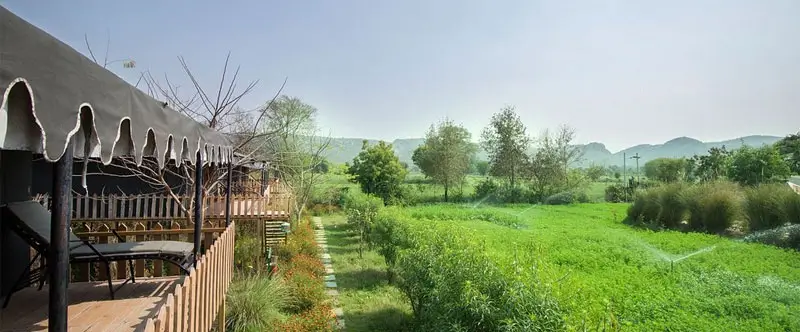 Resorts with Unique Jungle Experiences in Ranthambore