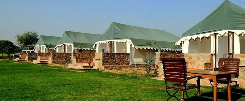 Where to Stay in Ranthambore for Safari and Complete Relaxation