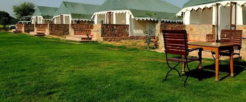 Why Ranthambore Is Becoming a Yoga and Mindfulness Escape