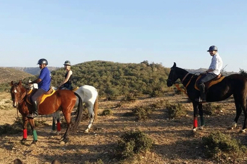 Horse Safari in Rajasthan