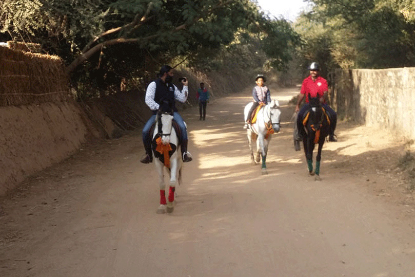 Horse Safari in Rajasthan