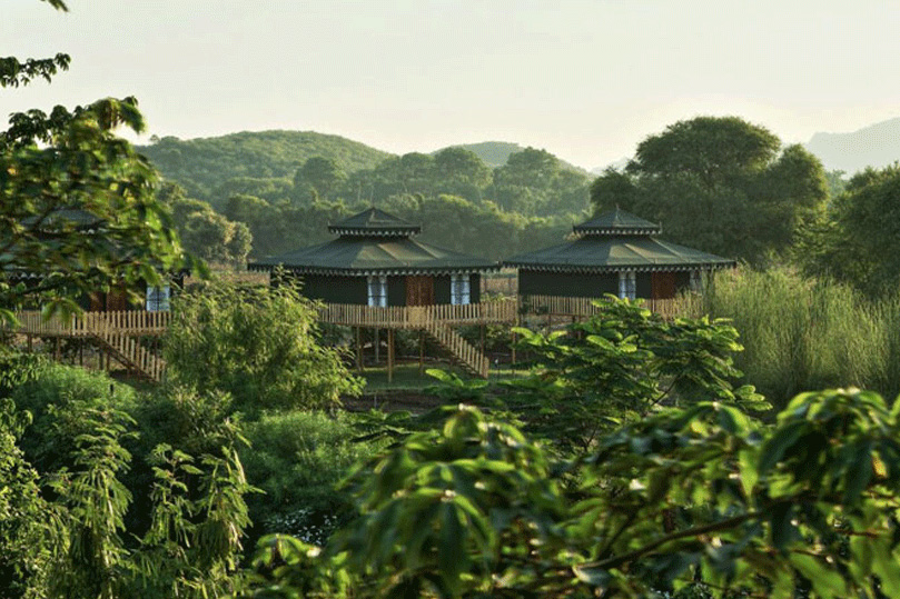 tent accommodation in ranthambore