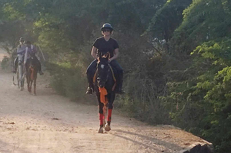 Horse Safari in Rajasthan