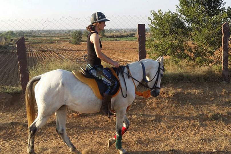 Horse Safari in Rajasthan