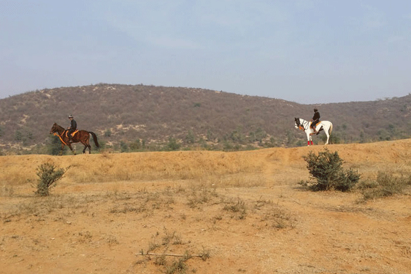 Horse Safari in Rajasthan