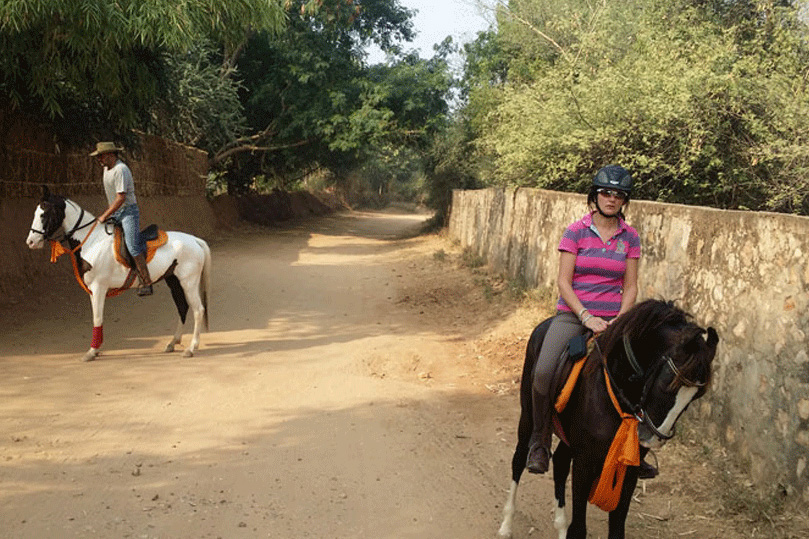 Horse Safari in Rajasthan