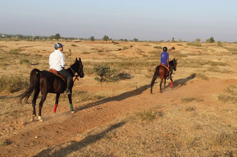 Horse Safari in Rajasthan