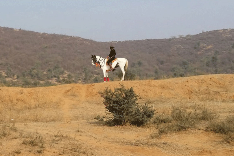 Horse Safari in Rajasthan
